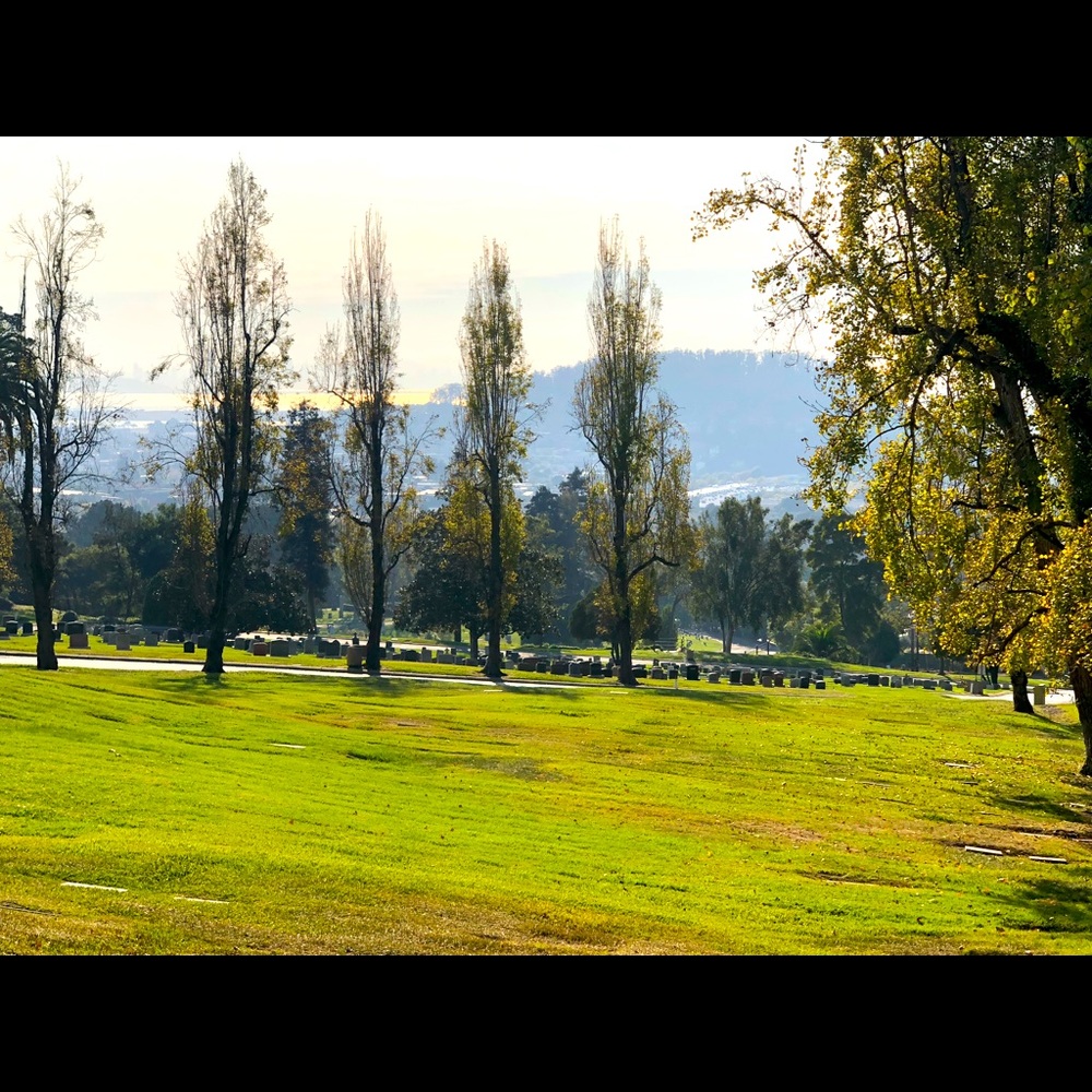 Meet your Posher, Lea.